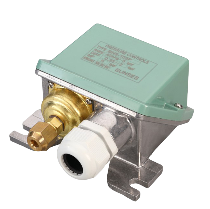 BNS-W/P SERIES PRESSURE CONTROLLER